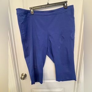 NWOT Kim Rogers 22W Capri Tummy Control Extremely Comfortable